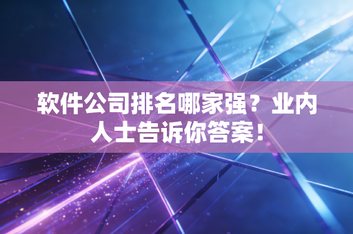 软件公司排名哪家强?业内人士告诉你答案!