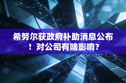希努尔获政府补助消息公布!对公司有啥影响?