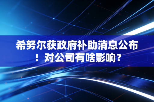 希努尔获政府补助消息公布!对公司有啥影响?