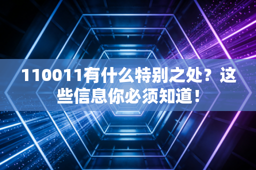 110011有什么特别之处？这些信息你必须知道！