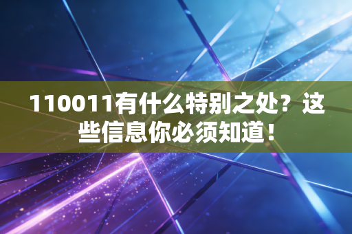 110011有什么特别之处？这些信息你必须知道！