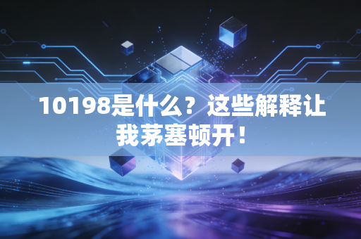 10198是什么?这些解释让我茅塞顿开!