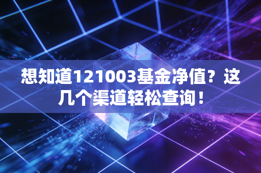 想知道121003基金净值?这几个渠道轻松查询!