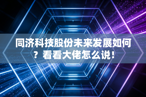 同济科技股份未来发展如何?看看大佬怎么说!