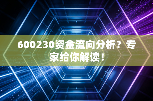 600230资金流向分析?专家给你解读!