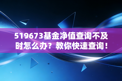 519673基金净值查询不及时怎么办?教你快速查询!