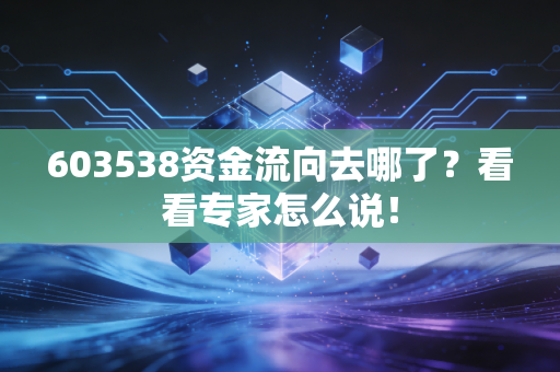 603538资金流向去哪了?看看专家怎么说!
