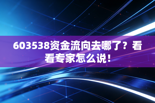 603538资金流向去哪了?看看专家怎么说!