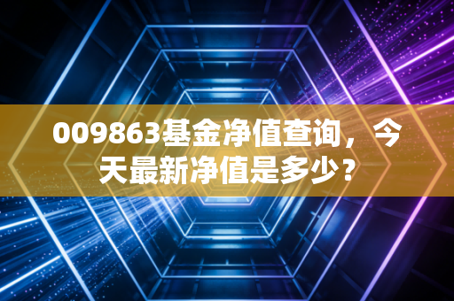 009863基金净值查询,今天最新净值是多少?