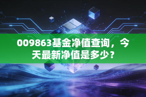 009863基金净值查询,今天最新净值是多少?