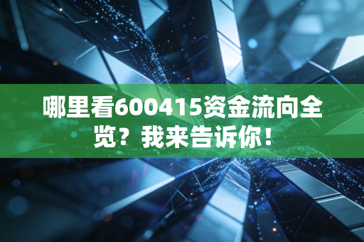 哪里看600415资金流向全览?我来告诉你!