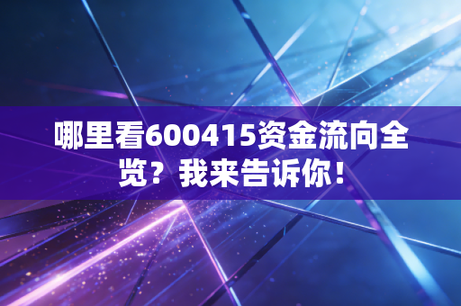 哪里看600415资金流向全览?我来告诉你!