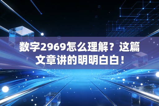 数字2969怎么理解?这篇文章讲的明明白白!