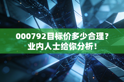000792目标价多少合理?业内人士给你分析!