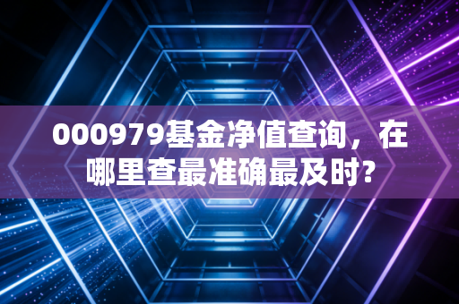 000979基金净值查询，在哪里查最准确最及时？