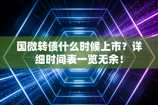 国微转债什么时候上市？详细时间表一览无余！