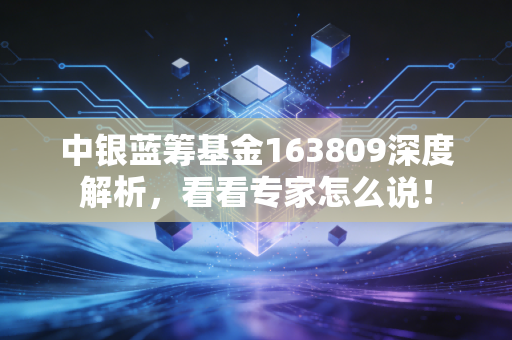 中银蓝筹基金163809深度解析，看看专家怎么说！