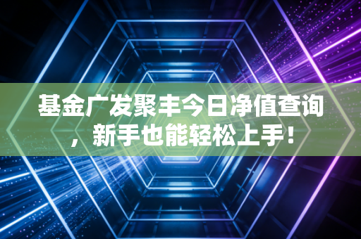 基金广发聚丰今日净值查询,新手也能轻松上手!