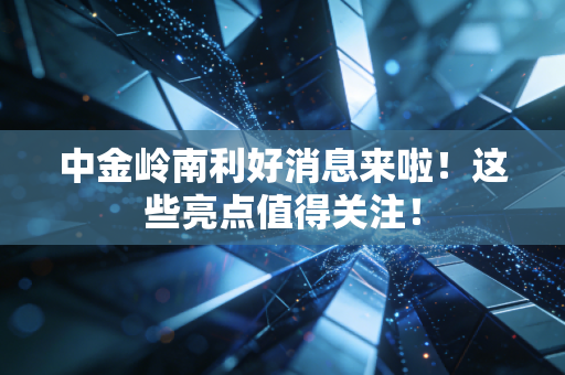 中金岭南利好消息来啦!这些亮点值得关注!