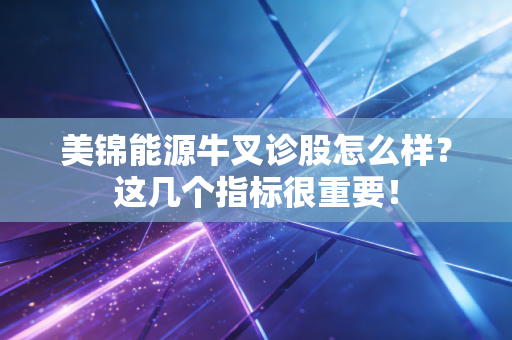 美锦能源牛叉诊股怎么样？这几个指标很重要！