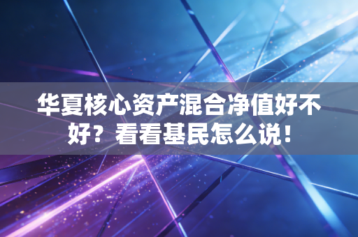 华夏核心资产混合净值好不好?看看基民怎么说!