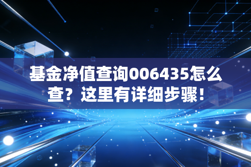 基金净值查询006435怎么查?这里有详细步骤!