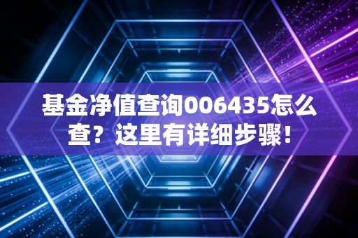 基金净值查询006435怎么查？这里有详细步骤！