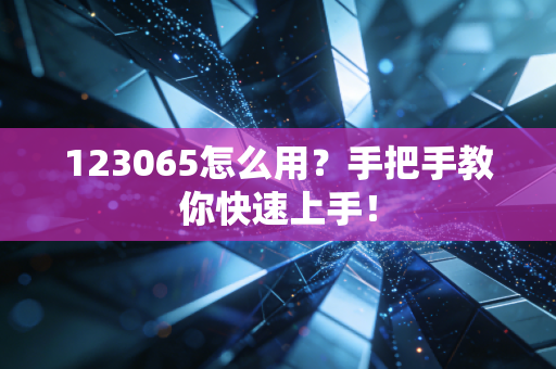 123065怎么用？手把手教你快速上手！