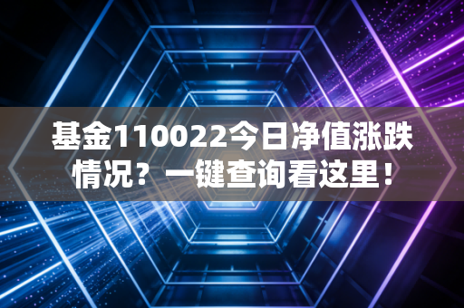 基金110022今日净值涨跌情况？一键查询看这里！