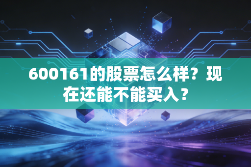 600161的股票怎么样？现在还能不能买入？