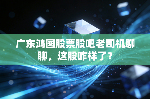 广东鸿图股票股吧老司机聊聊,这股咋样了?