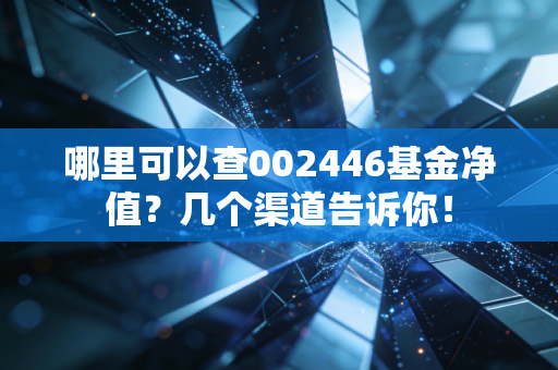 哪里可以查002446基金净值？几个渠道告诉你！