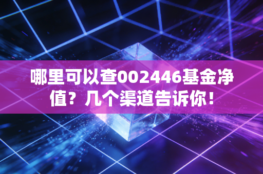哪里可以查002446基金净值？几个渠道告诉你！