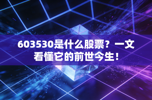 603530是什么股票？一文看懂它的前世今生！