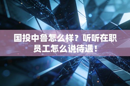 国投中鲁怎么样?听听在职员工怎么说待遇!