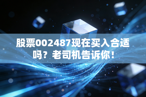 股票002487现在买入合适吗?老司机告诉你!