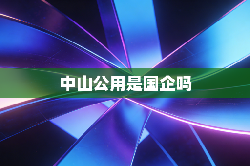 中山公用是国企吗