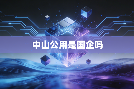 中山公用是国企吗