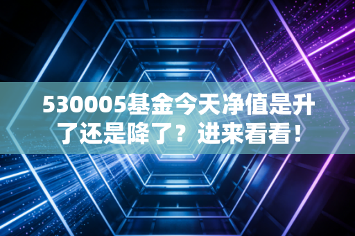 530005基金今天净值是升了还是降了？进来看看！