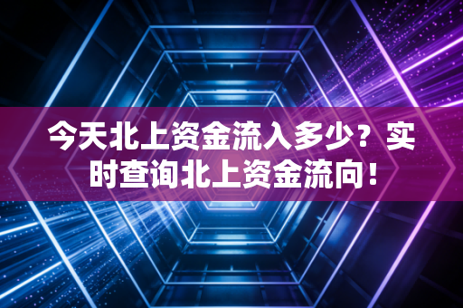 今天北上资金流入多少？实时查询北上资金流向！