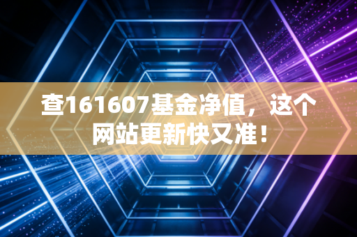 查161607基金净值，这个网站更新快又准！