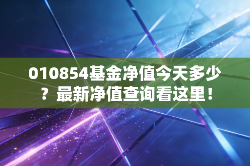 010854基金净值今天多少?最新净值查询看这里!
