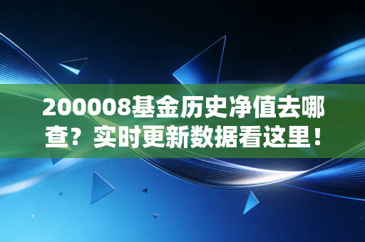 200008基金历史净值去哪查?实时更新数据看这里!