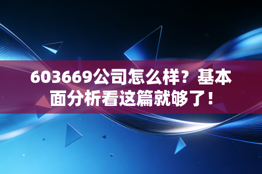 603669公司怎么样？基本面分析看这篇就够了！