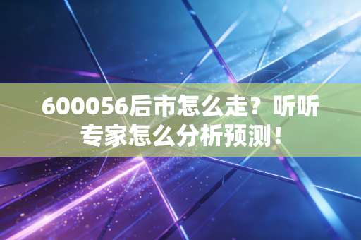 600056后市怎么走?听听专家怎么分析预测!