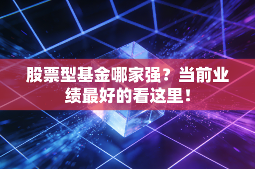 股票型基金哪家强?当前业绩最好的看这里!