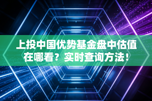 上投中国优势基金盘中估值在哪看？实时查询方法！