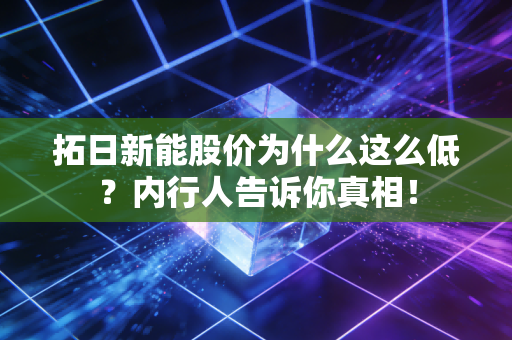 拓日新能股价为什么这么低?内行人告诉你真相!