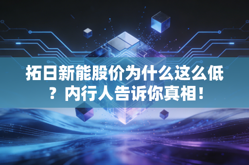 拓日新能股价为什么这么低?内行人告诉你真相!