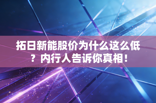 拓日新能股价为什么这么低?内行人告诉你真相!